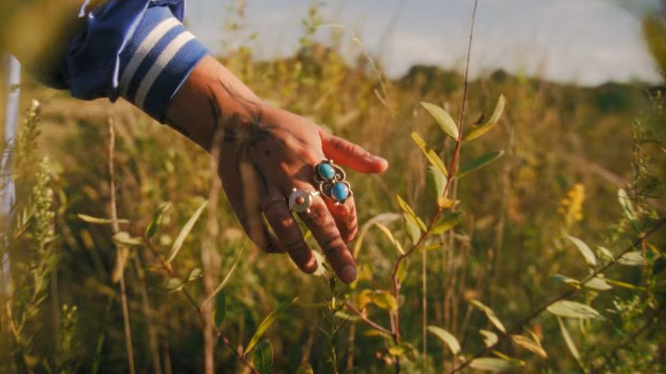 Video Cover Image: KALYN FAY - More - (Official Video)